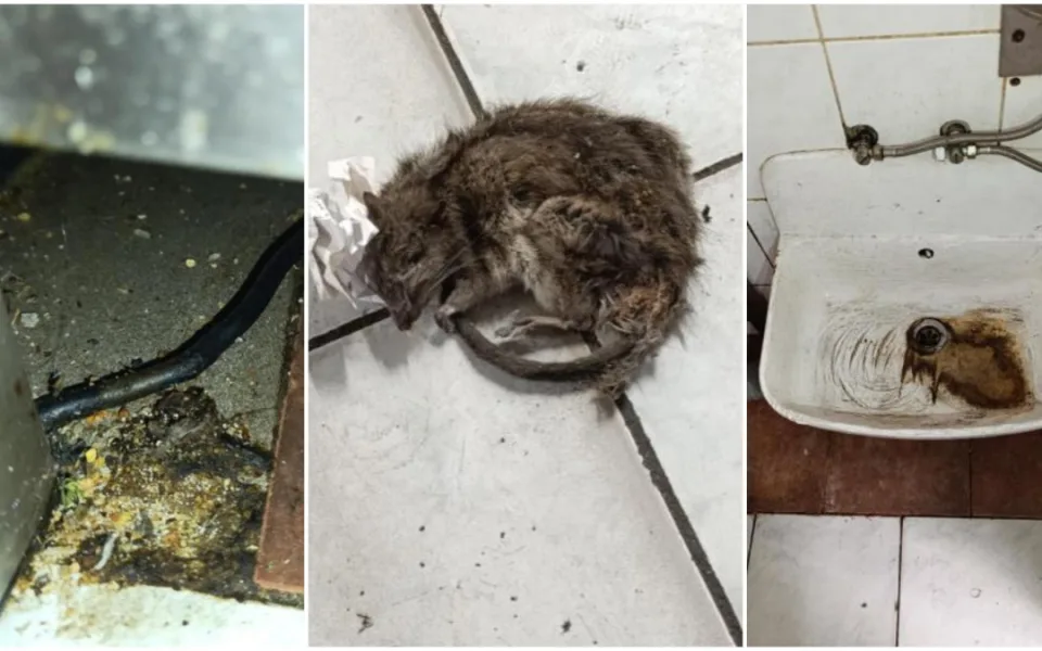 Inspekce našla v oblíbené hospodě mrtvé hlodavce, plísně a špínu