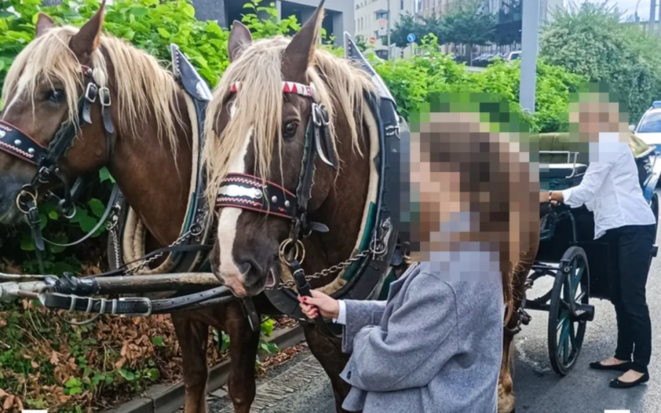 Střet kočáru se dvěma auty, kuriozní nehoda se odehrála v centru města