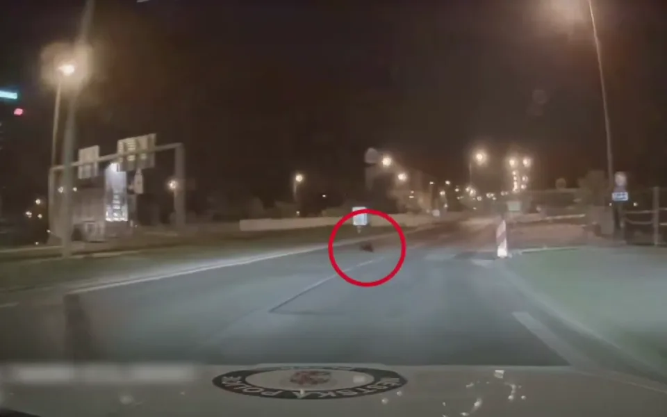 Plzeňští bobři si nedají pokoj, další pochodoval přímo před policejním autem