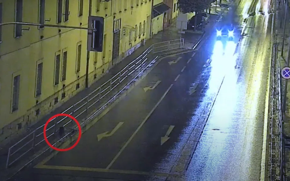 Bobří turistika v západočeské metropoli, během tří dnů se ulicí toulali tři bobři
