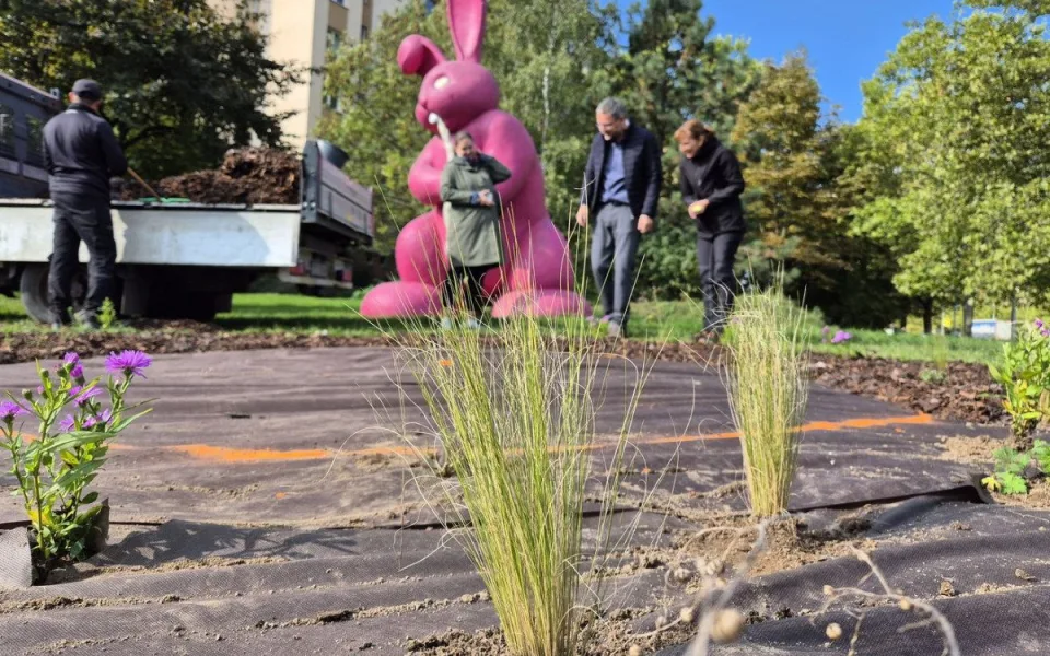 Slavného růžového králíka obklopí květiny, záhonům budou vévodit růže