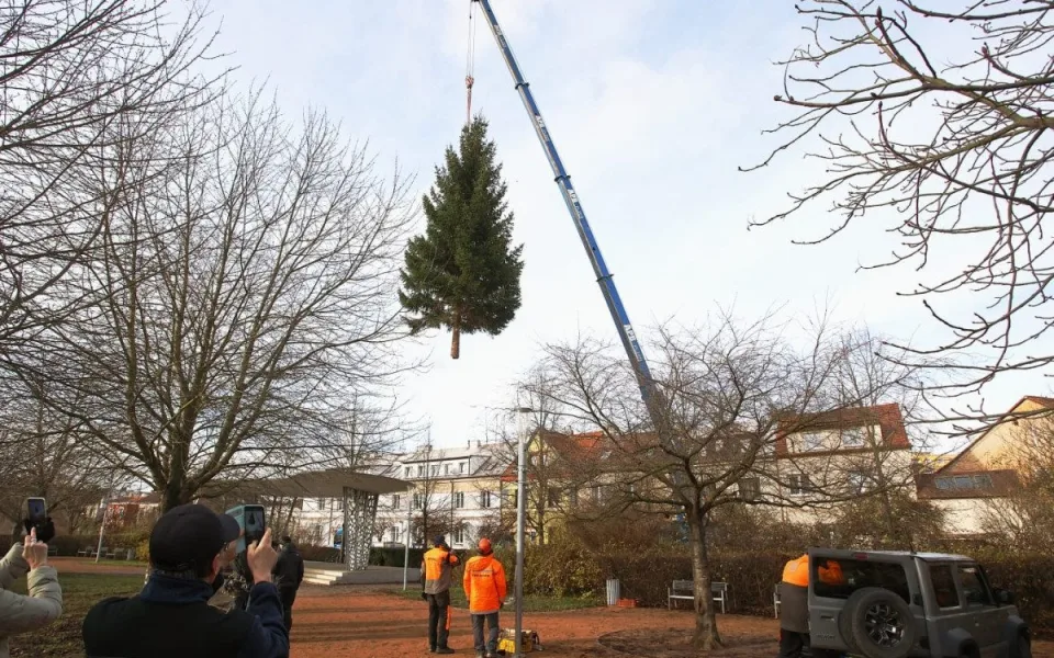 Čtyřka už má na místě letošní vánoční strom. Podívejte se na jeho převoz