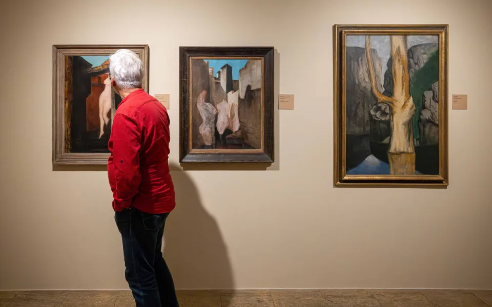 Malíř Josef Šíma se vrací do Západočeské galerie v Plzni
