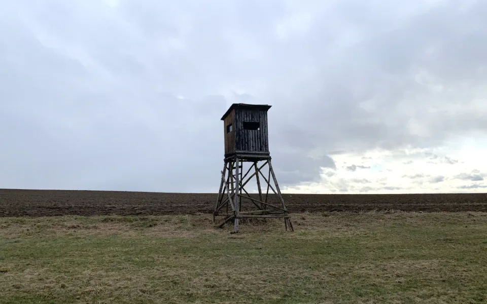 Ilustrační foto