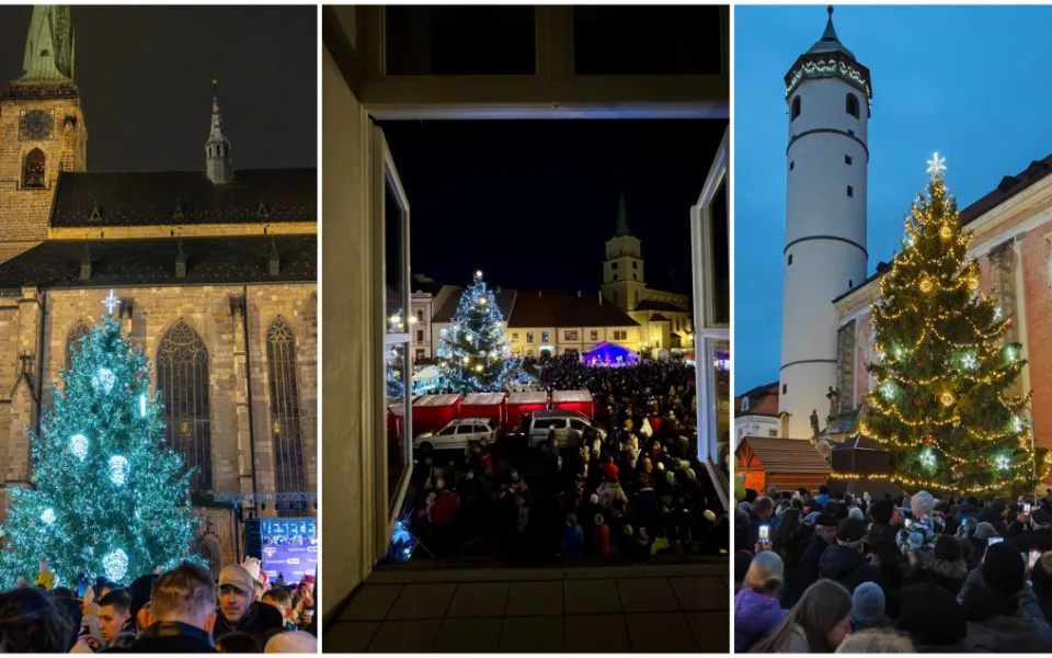 Strom v Plzni, Rokycanech a v Domažlicích