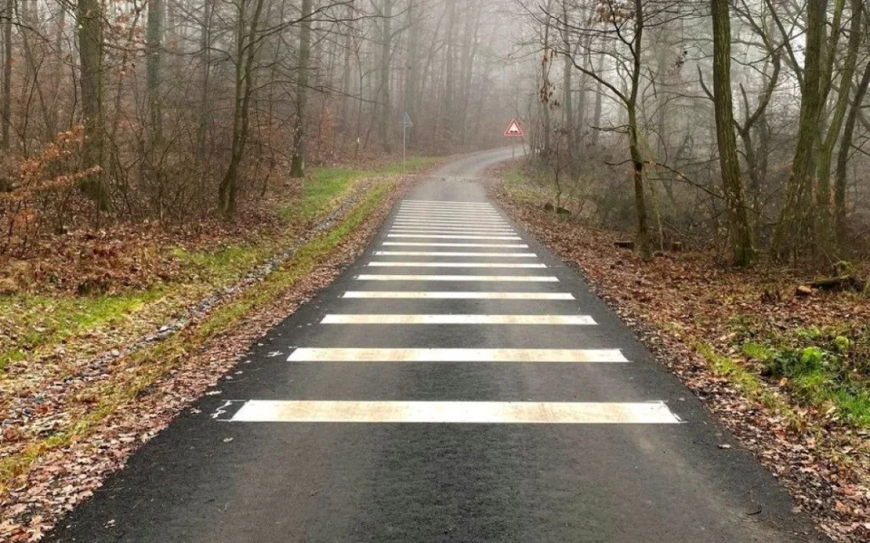 Město se pochlubilo vyasfaltováním lesních cest. Veřejnost to tvrdě odsoudila