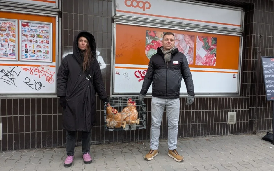 Ochránci zvířat protestovali v Plzni kvůli prodeji vajec z klecového chovu