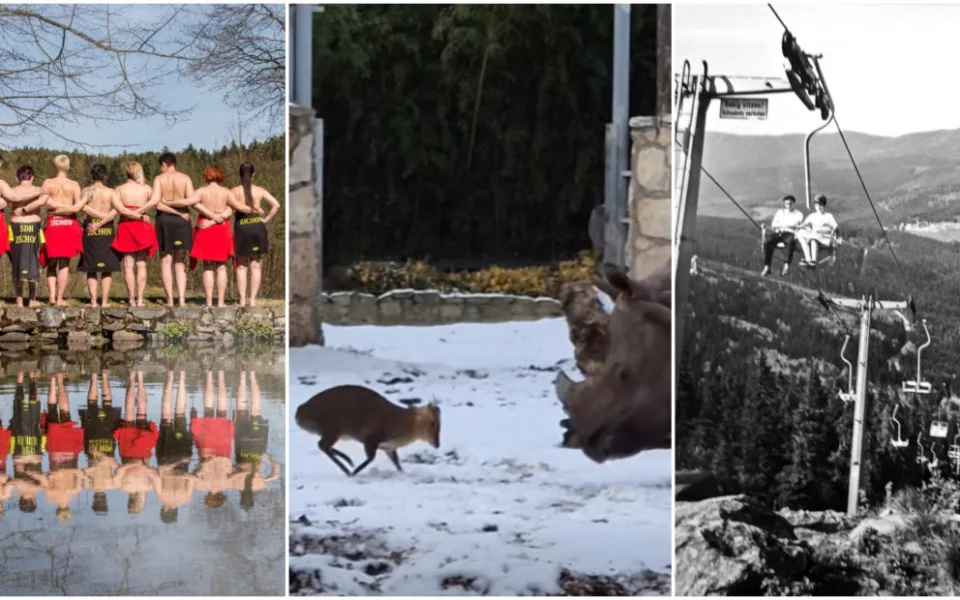 LEDEN 2026: Kalendář hasiček, provokující jelínek i zajímavost ze Šumavy