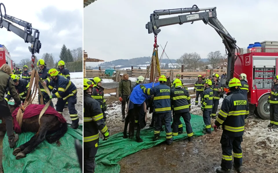 Hasiči zachraňovali koně pomocí hydraulické ruky