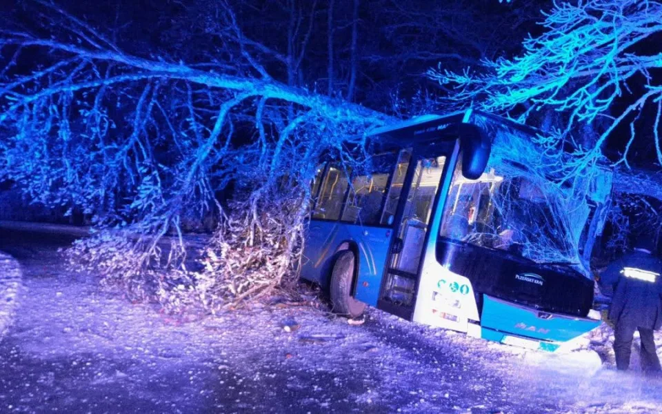 Na autobus spadl strom