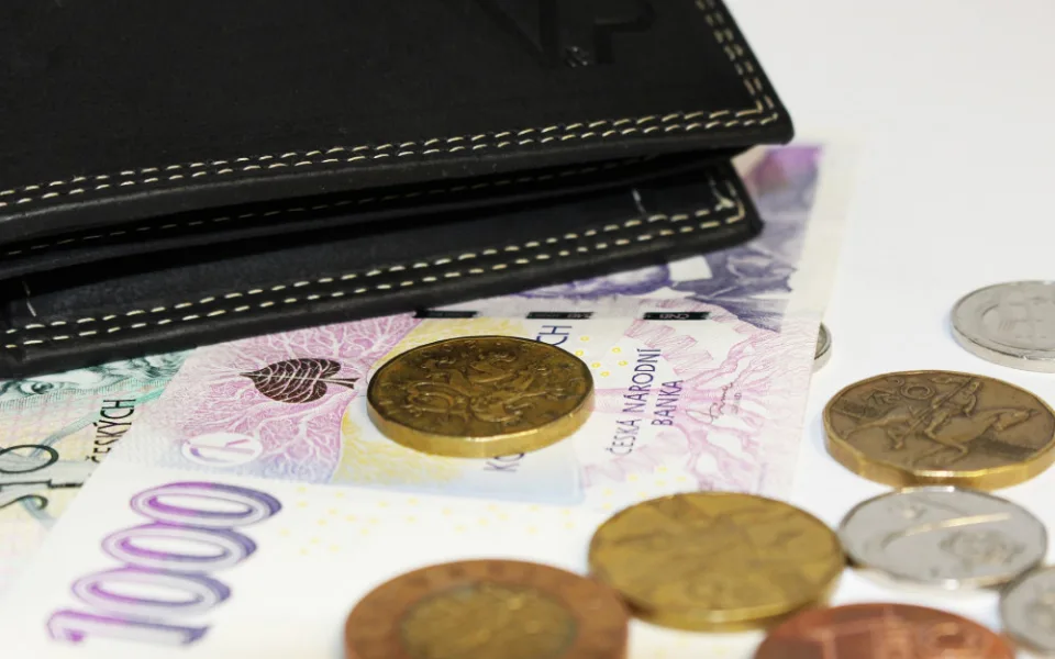 V Plzeňském kraji stoupla loni mzda meziročně o 6,6 procent na 45 980 korun
