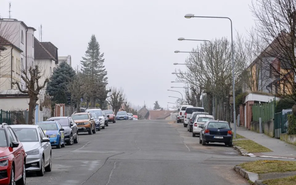 Plzeň chystá rekonstrukci Květné ulice. Práce začnou v květnu, nejprve se budou kácet stromy.