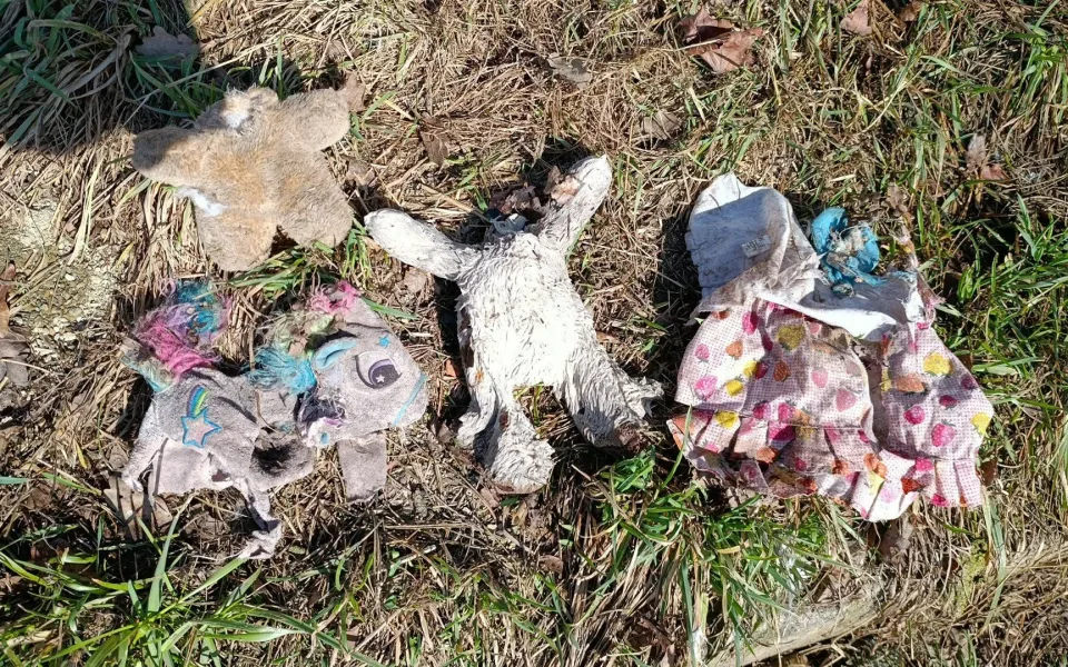 Nevychovaní návštěvníci v zoo přišli s novinkou, hází do výběhu nevhodné hračky