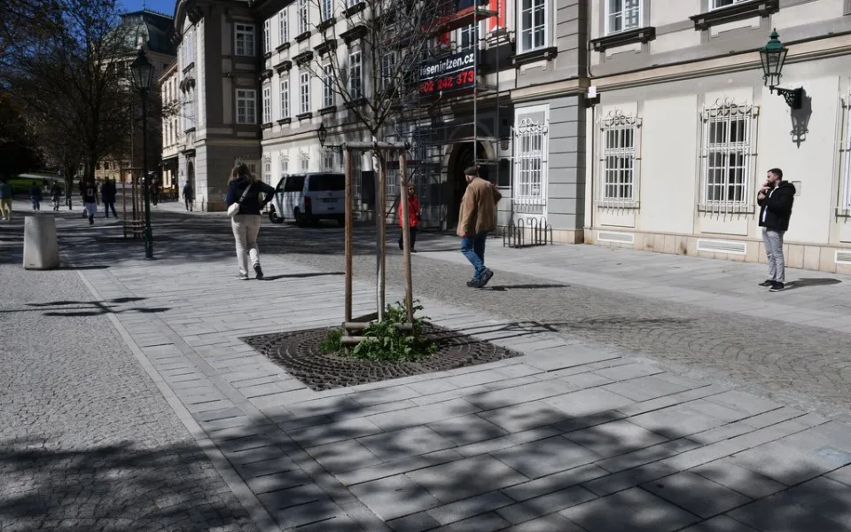 Po nejrušnější pěší zóně v historickém centru se dá konečně znovu chodit