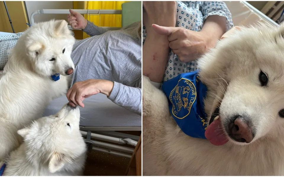 Agnes a Elis dochází za pacienty do Horažďovic.