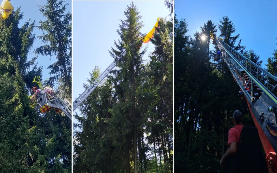 Česká paraglidistka se zřítila do lesa. Z vrcholku stromu ji zachraňovali němečtí hasiči