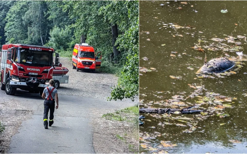 Experti vyšetřují masivní úhyn ryb. Na hladině jich plavaly desítky