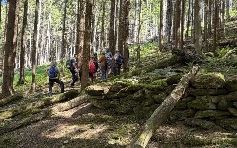 ilustrační foto - turisté na Šumavě