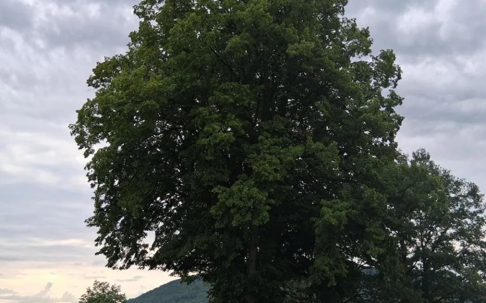 13:56