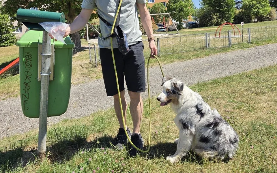 Naučí se lidé po psech uklízet? Obvod instaloval desítky stojanů se sáčky na výkaly