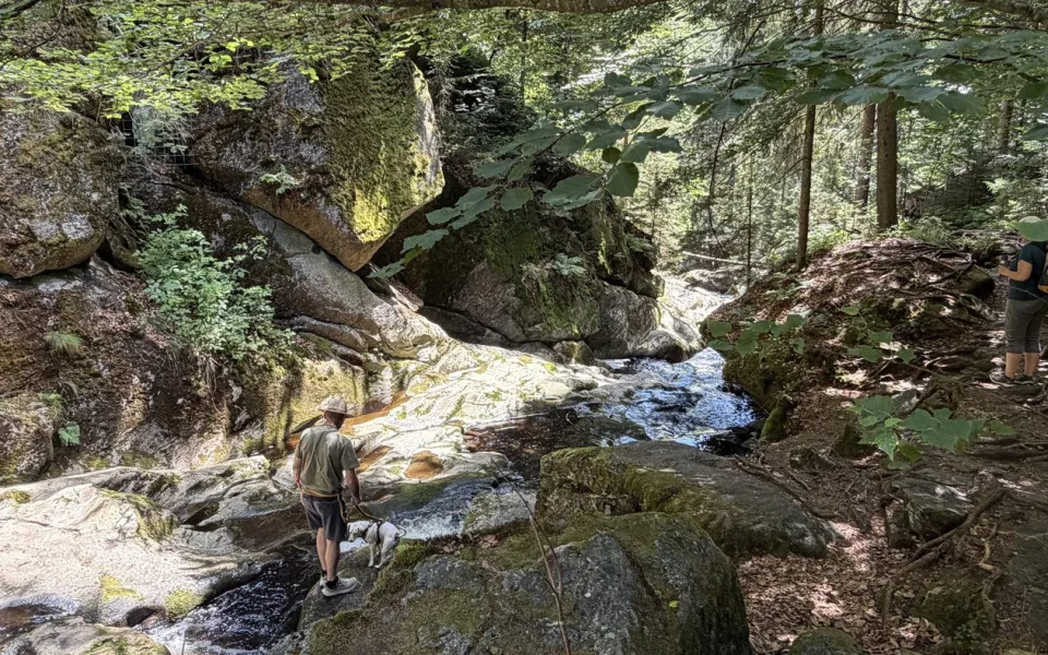 Jen pár kilometrů za hranicemi najdete divokou a romantickou šumavskou soutěsku