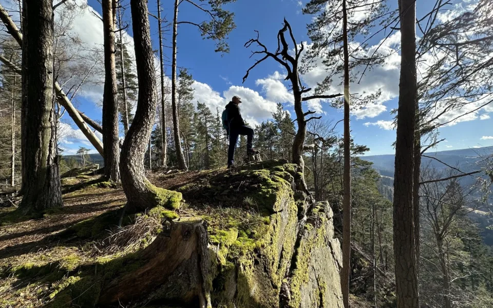 Šumava - ilustrační foto