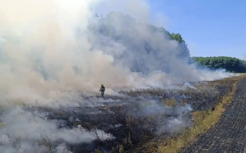 Extrémní vytíženost hasičů, denně zasahují u několika požárů pole nebo lesa