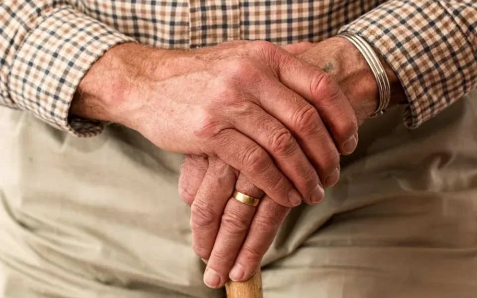 V Plzeňském kraji porostou v příštích letech počty seniorů, dětí do 14 let ubyde