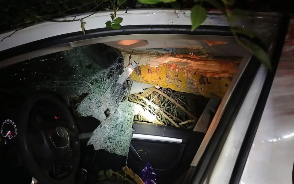 Noční bouře porážela desítky stromů. Najelo do nich auto i vlak