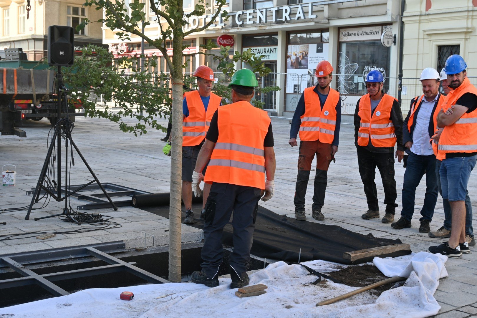 Výsadba stromů na náměstí Republiky v Plzni